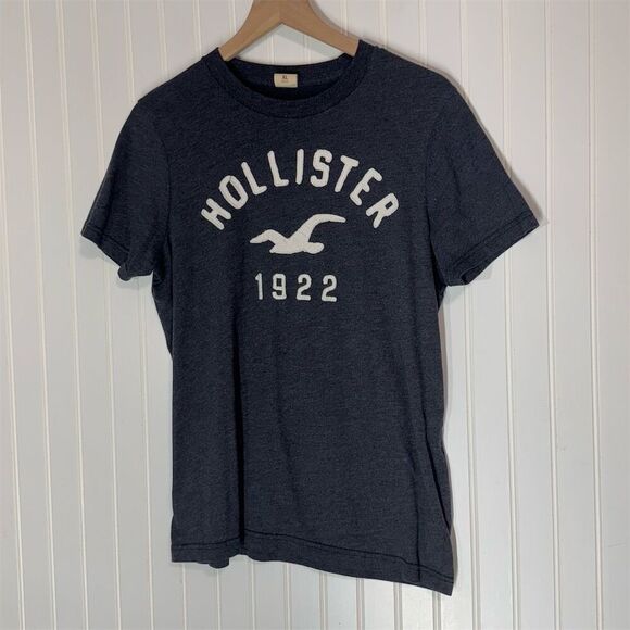 Hollister Men’s Graphic T-Shirt XL Blue Seagull Logo 1922 Flocked Text Classic - Picture 1 of 7